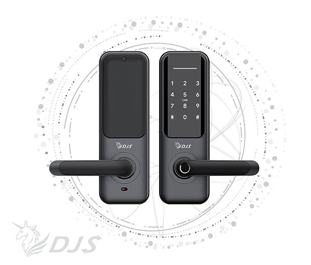 DJS smart electronic door lock